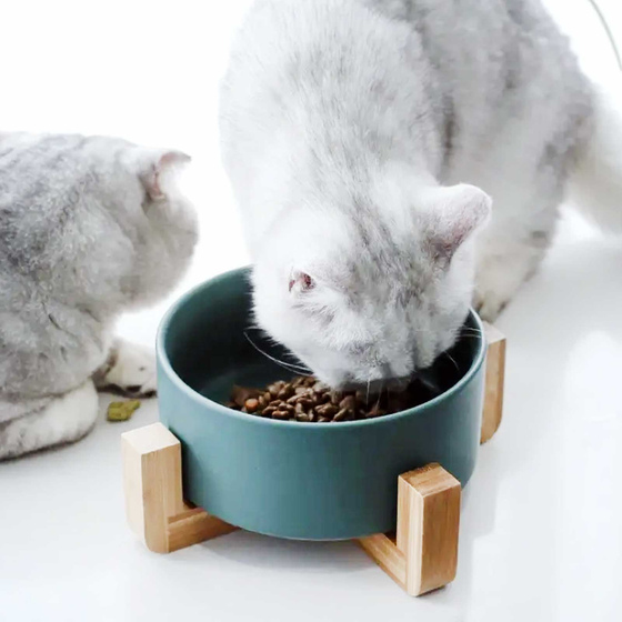 Hundenapf und Katzennapf aus Keramik wei� 850ml