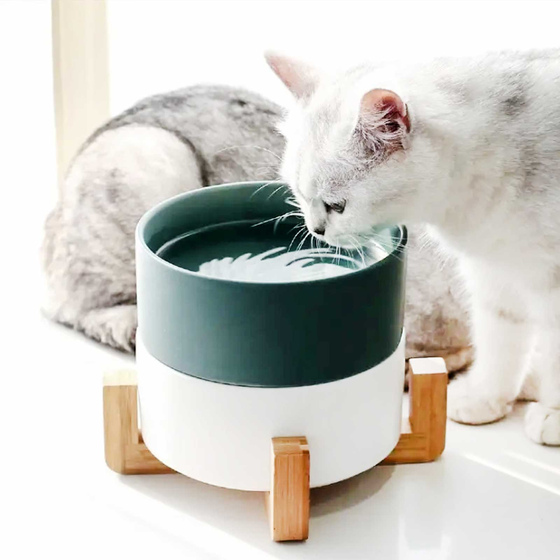 Hundenapf und Katzennapf aus Keramik wei� 850ml
