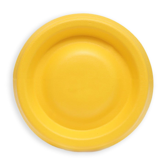 Hundetraining Spielzeug Frisbee