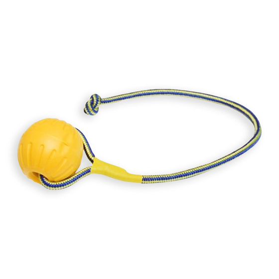 Hundespielzeug Ball mit Seil