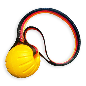 Interaktives Hundespielzeug Ball mit Seil