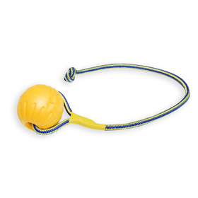 Hundespielzeug Ball mit Seil