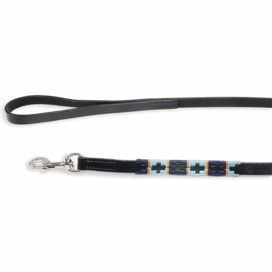 Neue Hundeleine - Polo