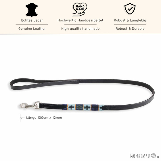 Neue Hundeleine - Polo