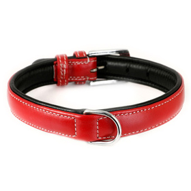 Auf dem Bild ist ein Hundehalsband aus Leder rot...