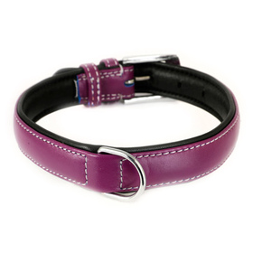 Auf dem Bild ist ein Hundehalsband aus Leder lila...