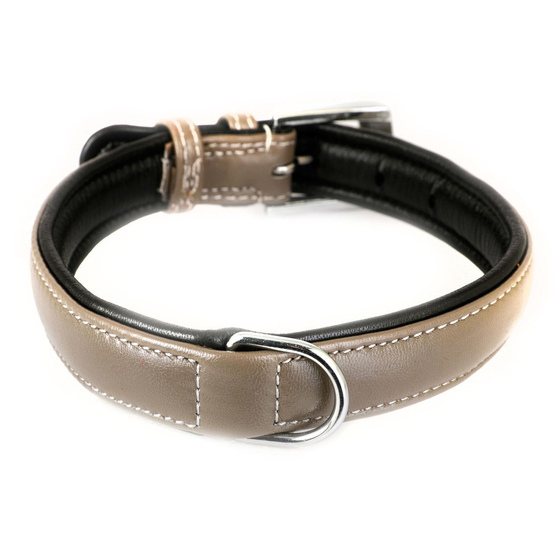 Auf dem Bild ist ein Hundehalsband aus Leder grau gepolstert M zu sehen