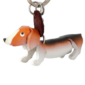 Auf dem Bild zu sehen ist ein kleiner Dackel Hund aus...