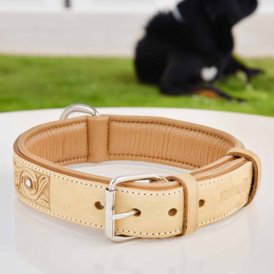 Hundehalsband aus Leder beige handgeschnitzt mit Premium-Kristallen L