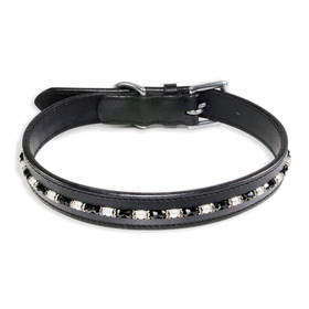 Auf dem Bild ist ein Hundehalsband als Lederhalsband f�r...