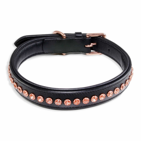 Auf dem Bild ist ein Hundehalsband als Lederhalsband fr Hunde aus echt Leder in schwarz - 20mm breit mit rose-goldenen Kristallen verstellbar 27 bis 32cm in der Gre S-XS zu sehen
