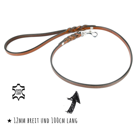 Kurzfhrer Hundeleine aus Leder