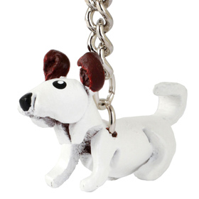 Auf dem Bild zu sehen ist ein Jack Russell Terrier Hund...