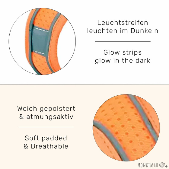 Geschirr fr Hund und Katze mit Leine - XXS in orange