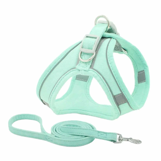 Geschirr f�r Hund und Katze mit Leine - XS in t�rkis