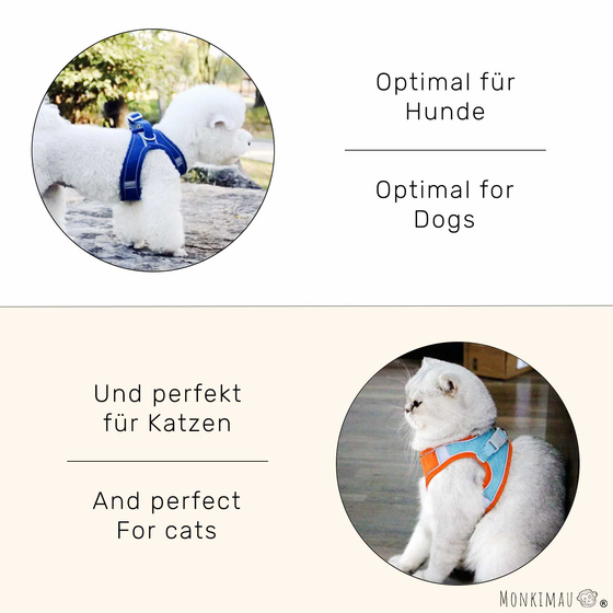 Geschirr f�r Hund und Katze mit Leine - XS in t�rkis