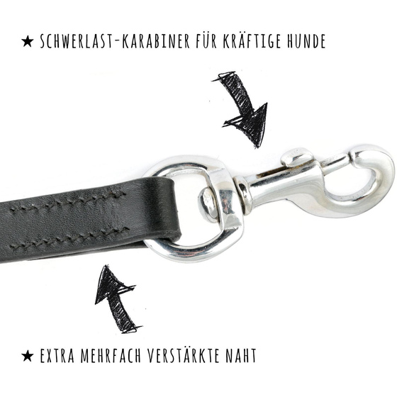 Kurzfhrer Hundeleine aus Leder