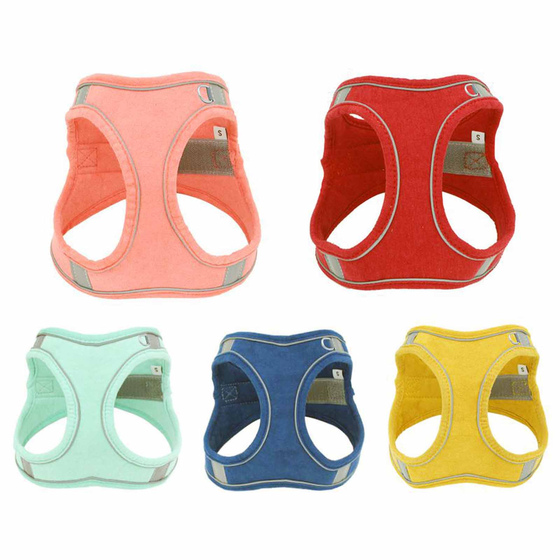 Geschirr fr Hund und Katze mit Leine - XXXS in gelb