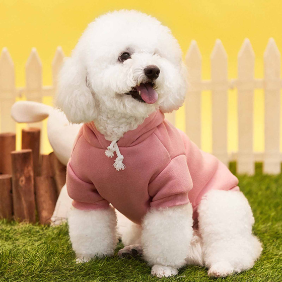 Hundepullover Hoodie f�r mittlere Hunde - M in grau