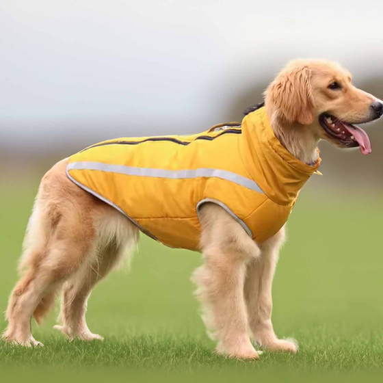 Hundejacke - 4XL in gelb