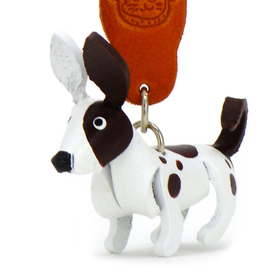 Auf dem Bild zu sehen ist ein Chihuahua mix Hund aus...