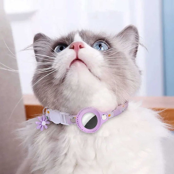 Katzenhalsband mit Apple AirTag Halter und Sicherheitsverschluss einstellbar gr�n