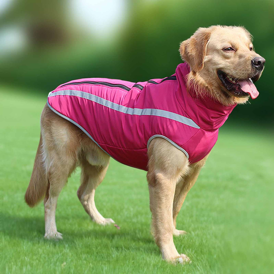 Hundejacke - XXXL in pink