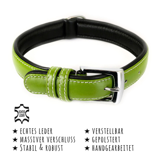 Das Bild mit Beschreibung zeigt ein Halsband fr Hunde aus echt Leder gepolstert verstellbar in der Farbe grn