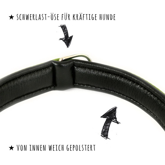 Hundehalsband aus Leder grn gepolstert S-M