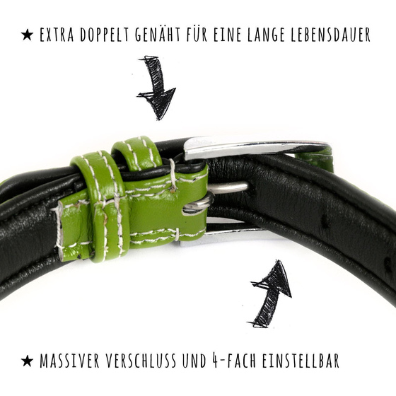 Hundehalsband aus Leder grn gepolstert S-M