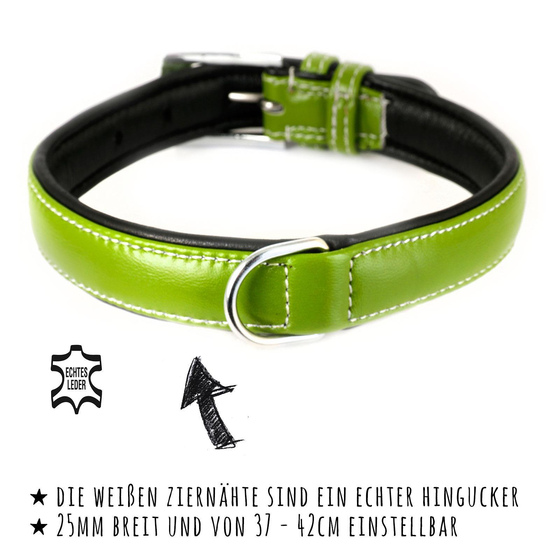 Hundehalsband aus Leder grn gepolstert S-M