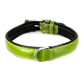 Auf dem Bild zu sehen ist ein Halsband für Hunde aus echt...