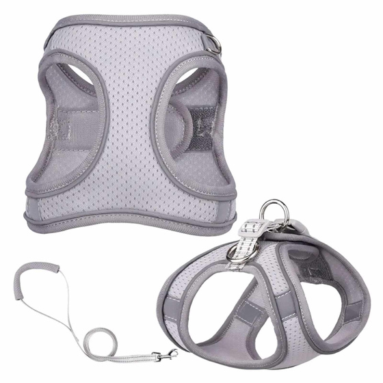 Geschirr fr Hund und Katze mit Leine in grau