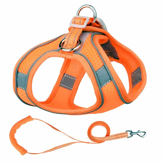 Geschirr fr Hund und Katze mit Leine in orange