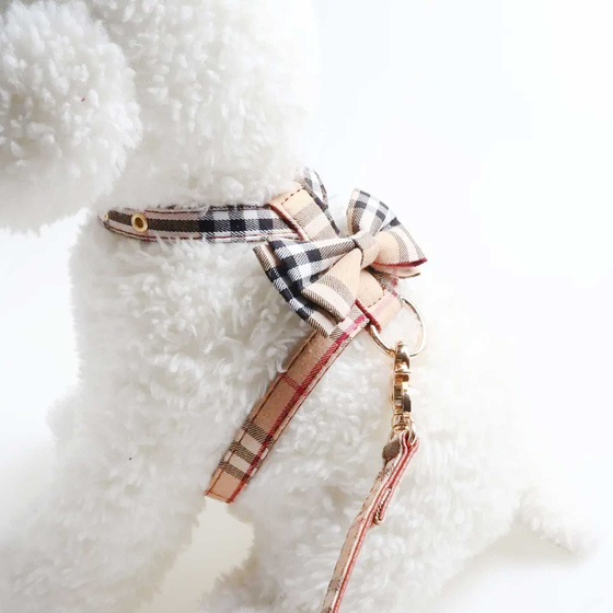 Geschirr fr Hund und Katze mit Leine beige - S