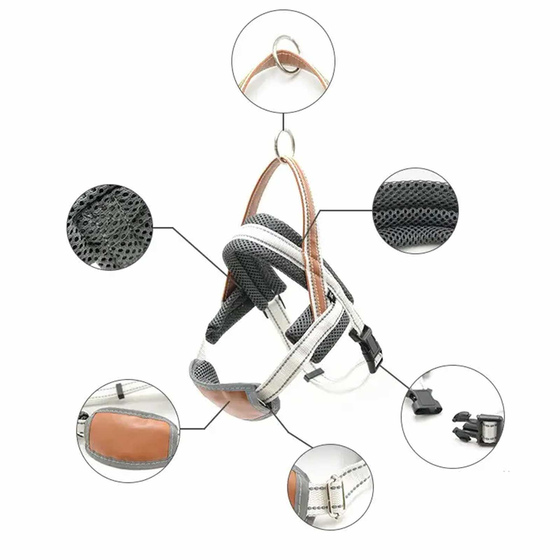 Hundegeschirr reflektierend Gr��e einstellbar mit Griff - S in grau