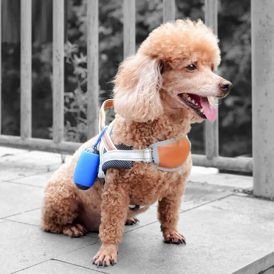 Hundegeschirr reflektierend Gr��e einstellbar mit Griff - L in t�rkis