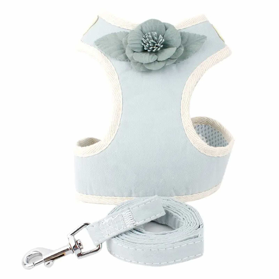 Geschirr fr Hund und Katze mit Leine in hellblau