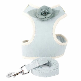 Geschirr fr Hund und Katze mit Leine in hellblau