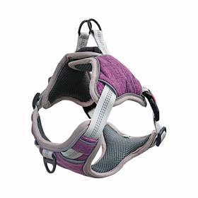 Hundegeschirr gepolstert lila - S