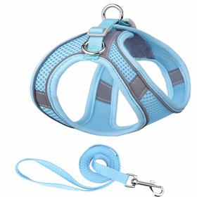 Hundegeschirr für kleine Hunde hellblau - XS