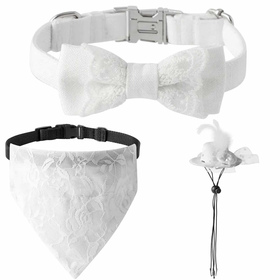 Hundehalsband Hochzeit Set mit Schleife, Halstuch und Hut
