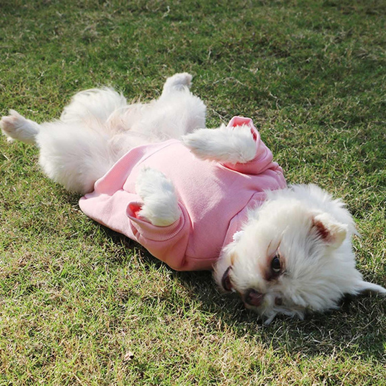 Hundepullover Hoodie mittelgro�e Hunde - L in rosa