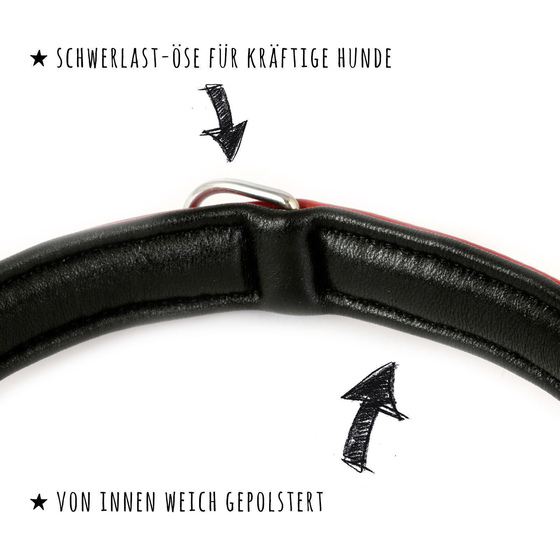 Hundehalsband aus Leder rot gepolstert S-M