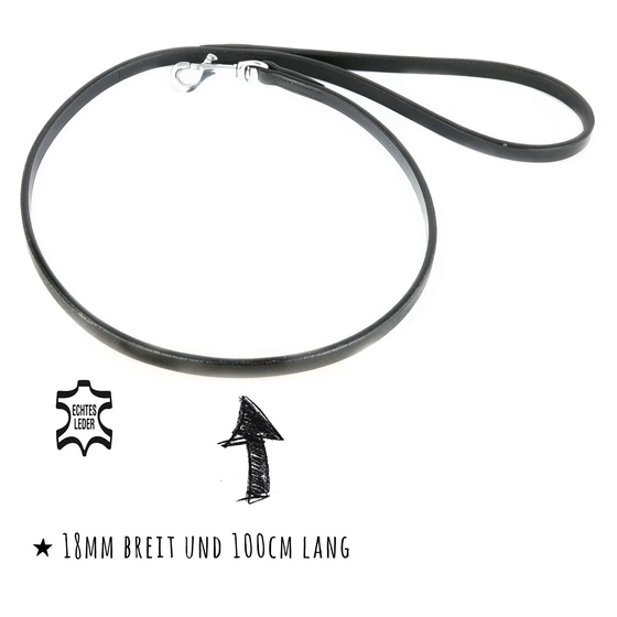 Kurzfhrer Hundeleine aus Leder