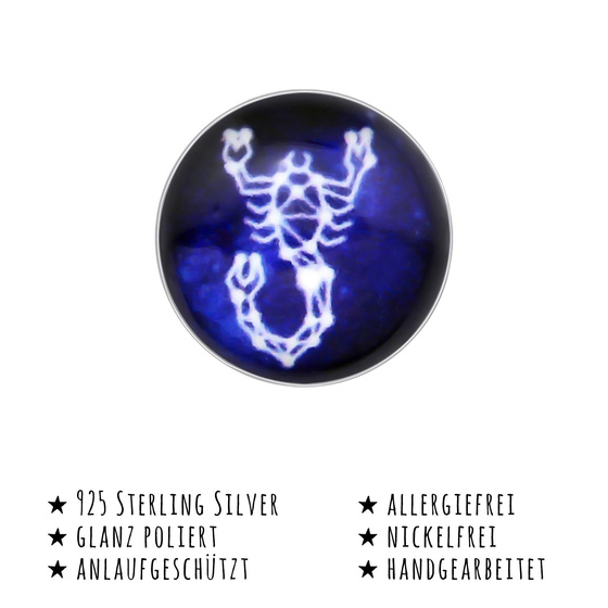 Das Bild mit Beschreibung zeigt Kinder Ohrringe Skorpion Sternzeichen Ohrstecker aus 925 Sterling Silver echt Silber