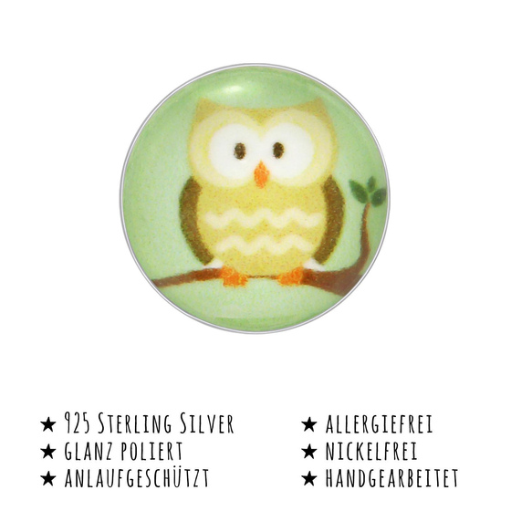Das Bild mit Beschreibung zeigt Kinder Ohrringe Eule Ohrstecker aus 925 Sterling Silver echt Silber