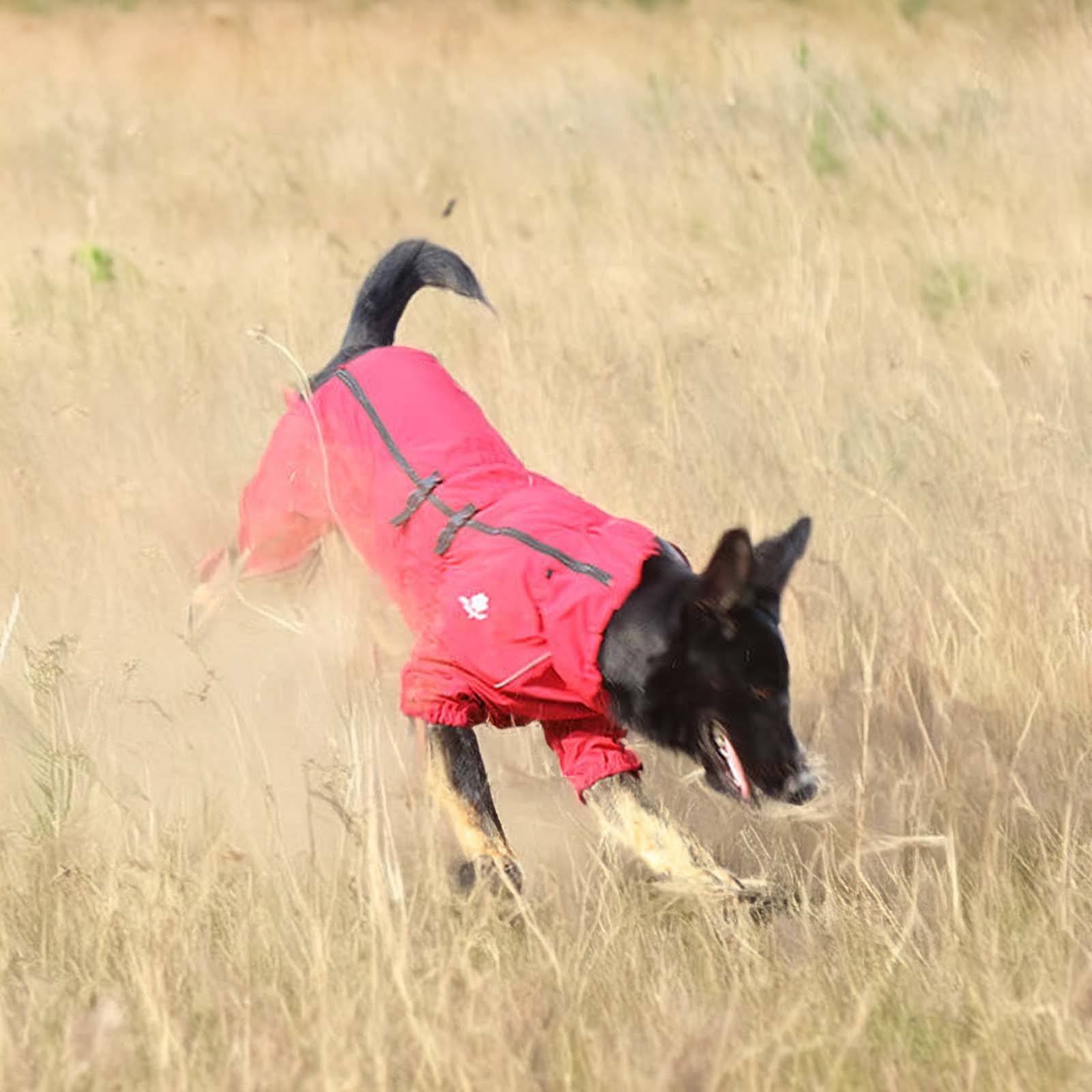 Roter, wasserdichter und strapazierfhiger Regenmantel fr groe Hunde  leicht, atmungsaktiv und ideal fr nasses Wetter. Perfekter Schutz bei Regen und Outdoor-Aktivitten.