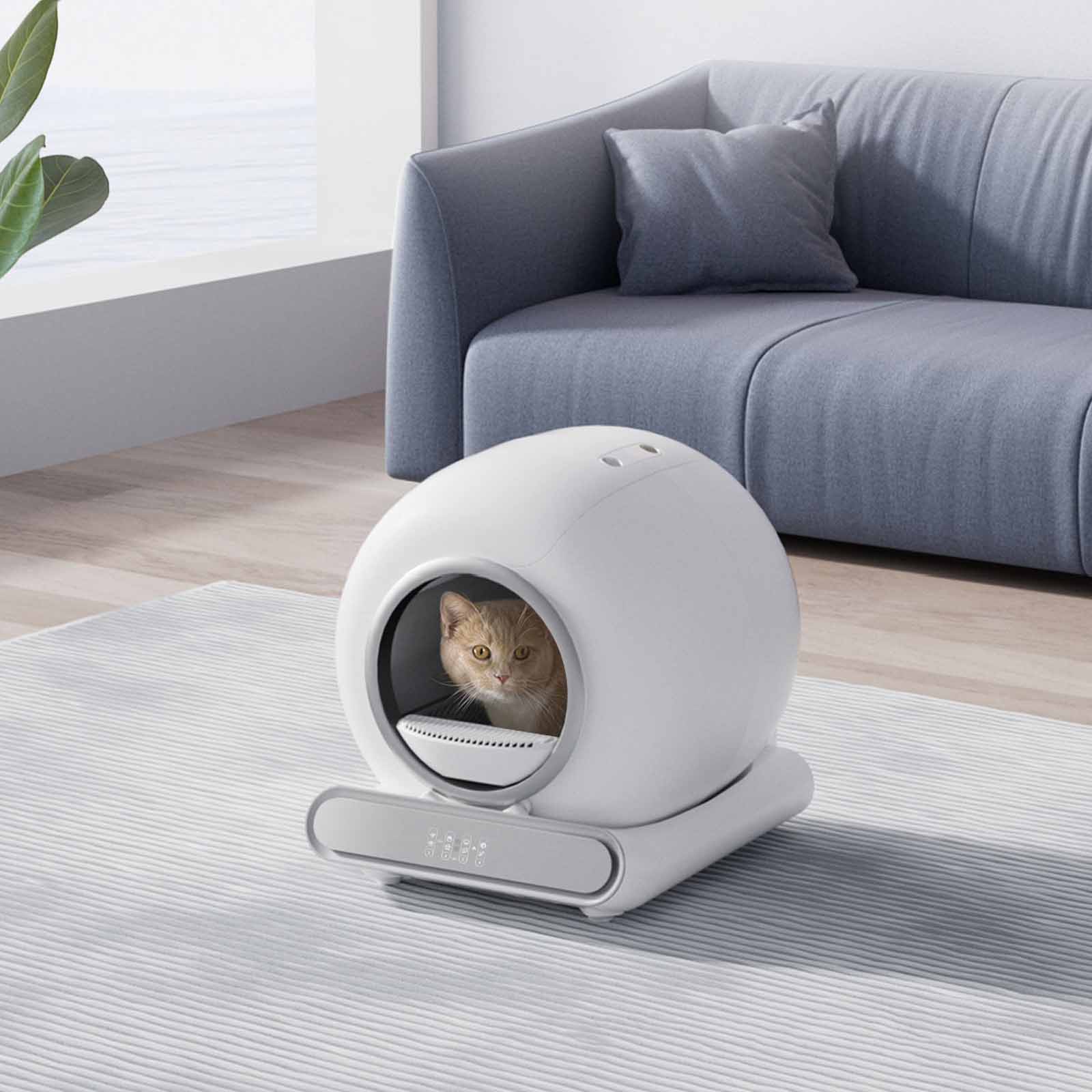 selbstreinigende katzentoilette im wohnbereich
