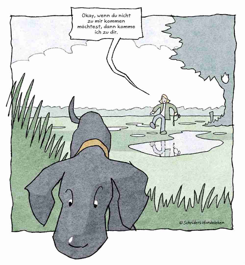 Hundecartoon von Jrg Schrder: Frauchen sucht Hund im Sumpf
